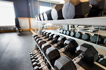 Free weights